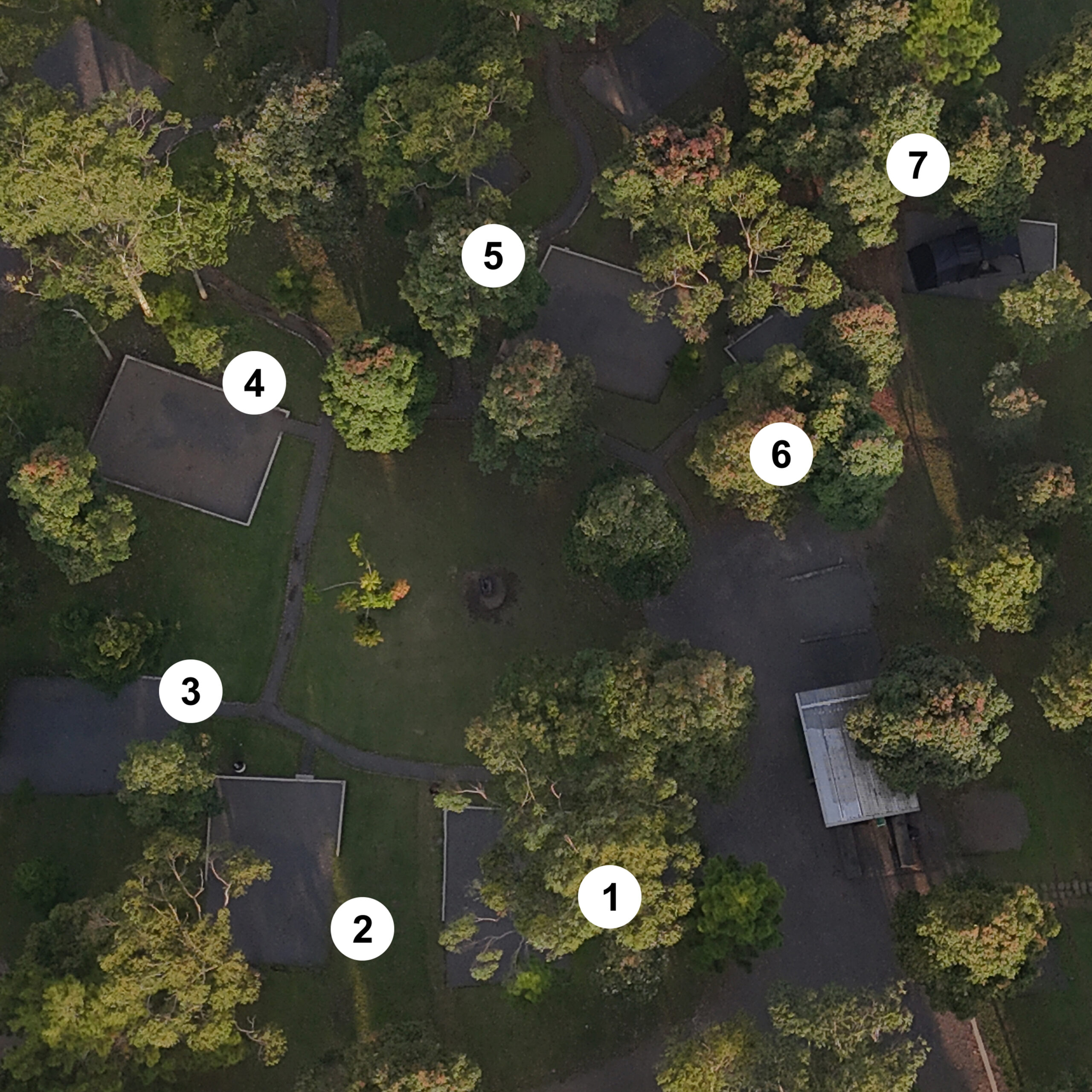 Campsite Garden Area Center